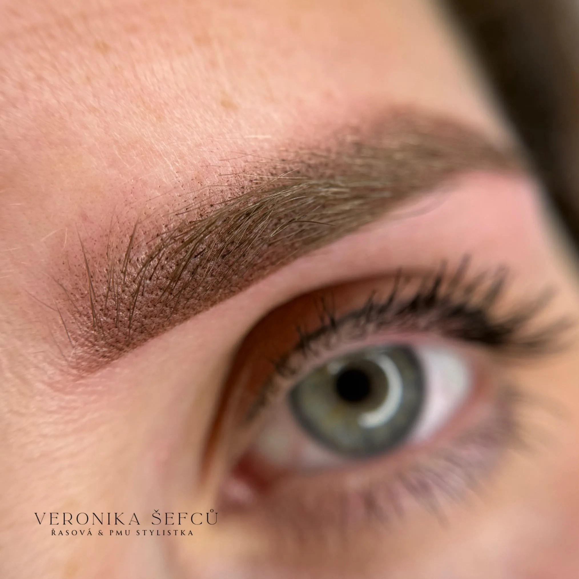 Pudrová technika — výsledek 4